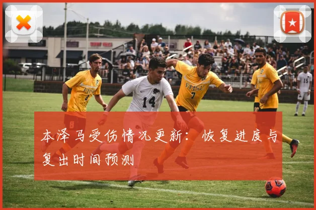 本泽马受伤情况更新:恢复进度与复出时间预测