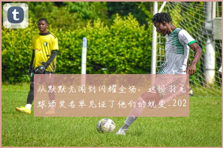 从默默无闻到闪耀全场,这份羽毛球颁奖名单见证了他们的蜕变_20260601173346_20260704165248
